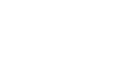 Revolución Z