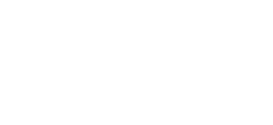 Revolución Z